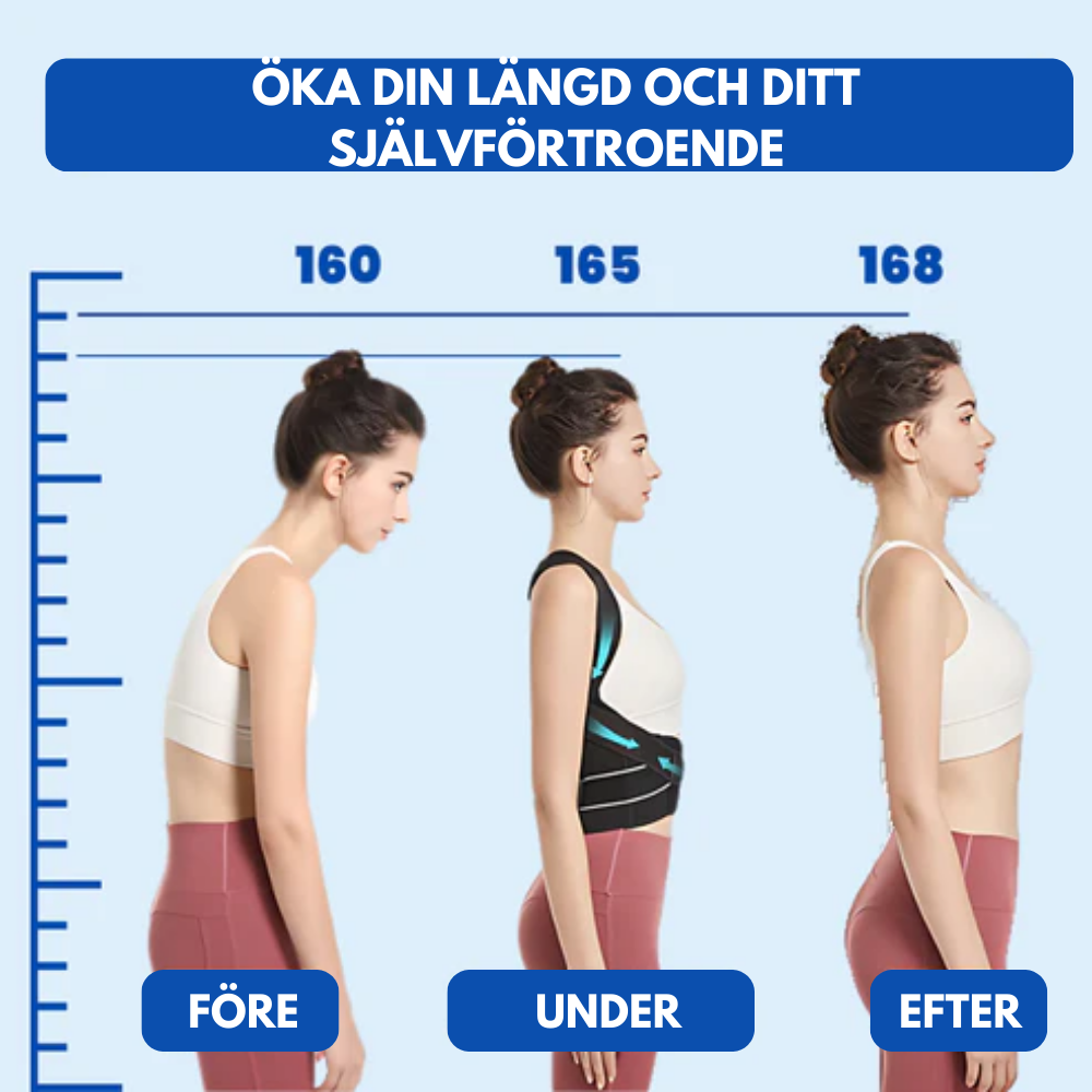 ErgoPro™ Haltungsversteller